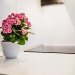 Tena